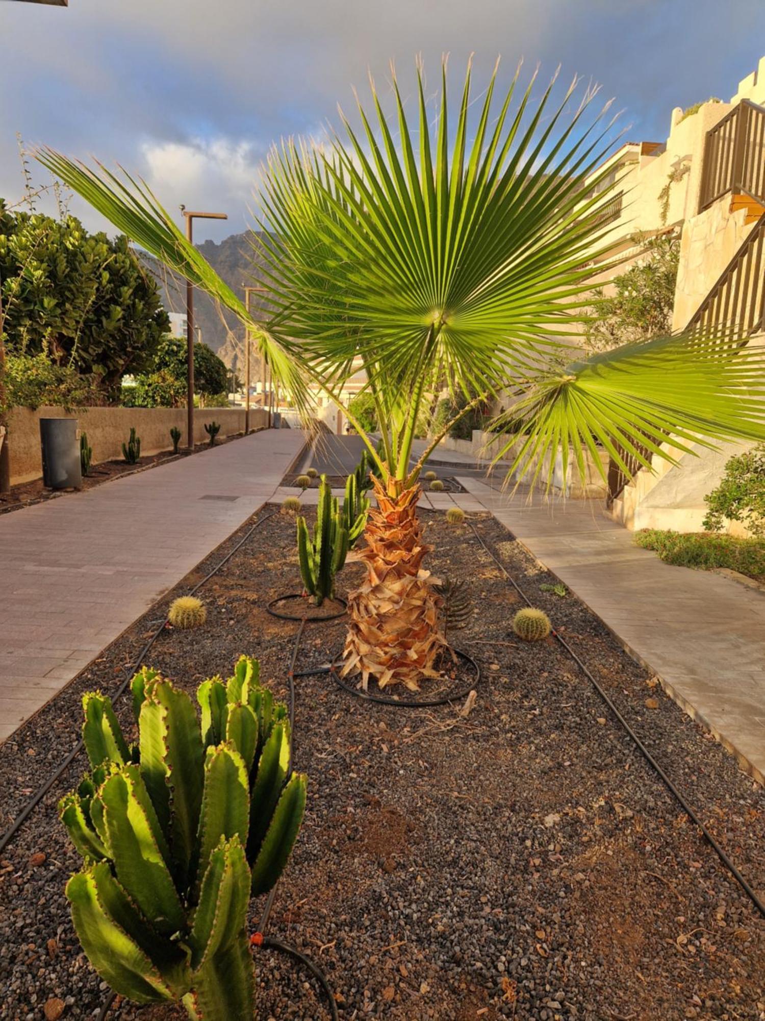 Apartamento Studia Puerto de Santiago Puerto de Santiago  Exterior foto